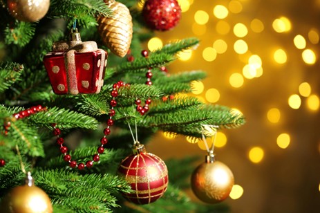 tree